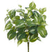 20" Philodendron Leaf Silk Plant -Green/White (Pack of 6) - PBP038-GR/WH