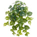 23" Philodendron Leaf Silk Hanging Plant -Green/White (Pack of 6) - PBP039-GR/WH