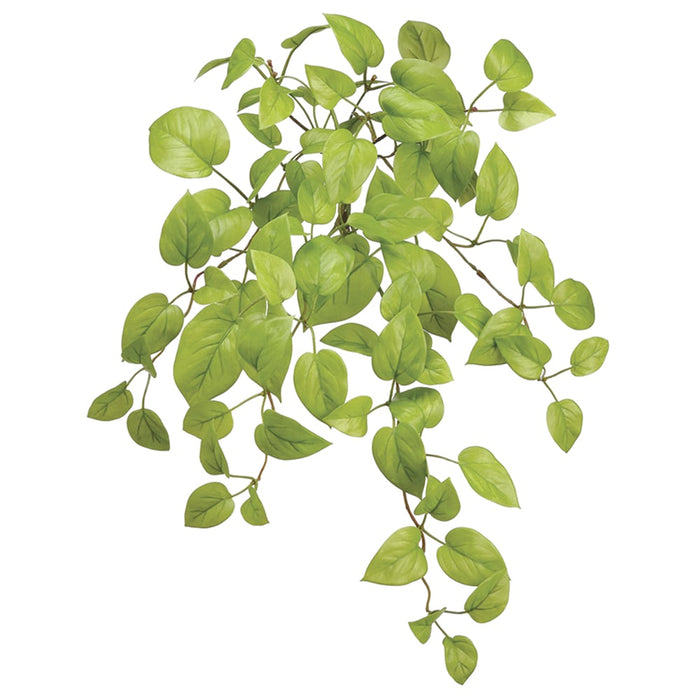 bright green hanging plant 24" Silk Pothos Hanging Plant -Light Green (Pack of 6)
