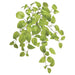 24" Silk Pothos Hanging Plant -Light Green (pack of 6) - PBP050-GR/LT
