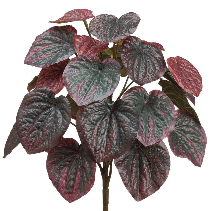 11" Silk Peperomia Plant -Burgundy (pack of 12) - PBP111-BU
