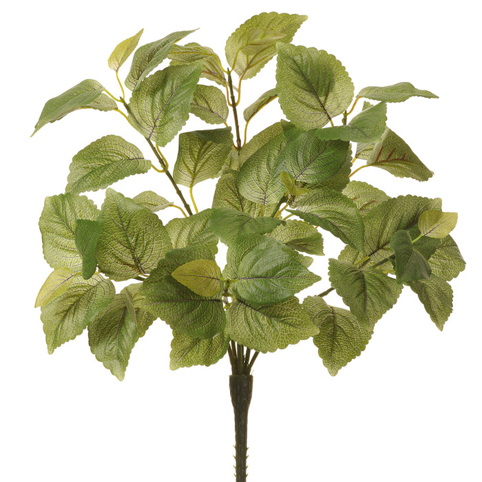 16" Silk Perilla Leaf Plant -Green (pack of 6) - PBP121-GR