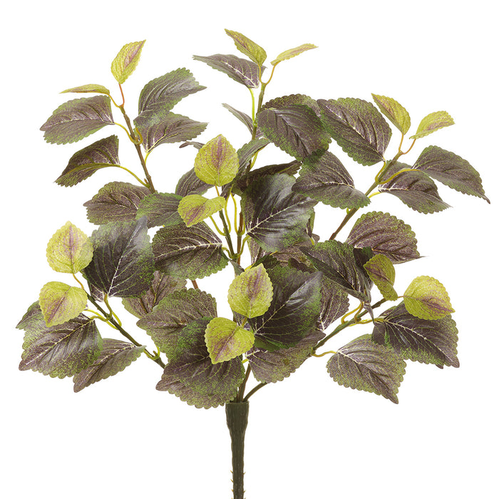 16" Silk Perilla Leaf Plant -2 Tone Green (Pack of 6) - PBP126-GR/TT