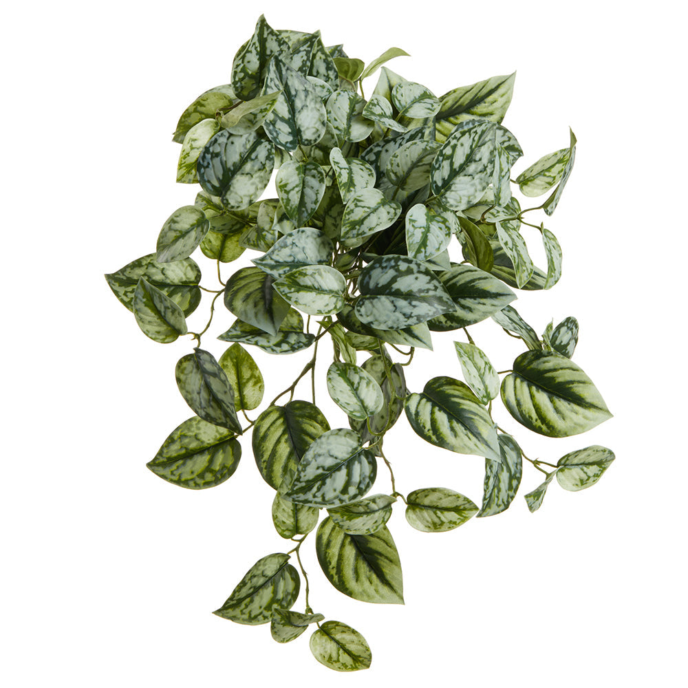 faux hanging pothos 16" Pothos Exotica Leaf Silk Hanging Plant -Green/Gray (Pack of 6)
