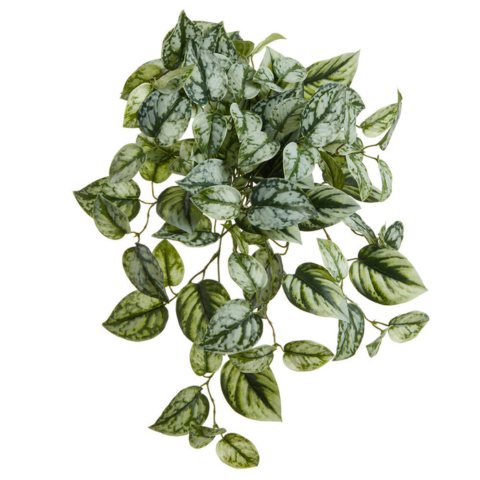 silk pothos plant 16" Pothos Exotica Leaf Silk Hanging Plant -Green/Gray — Silks Are Forever