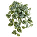 16" Pothos Exotica Leaf Silk Hanging Plant -Green/Gray (Pack of 6) - PBP127-GR/GY