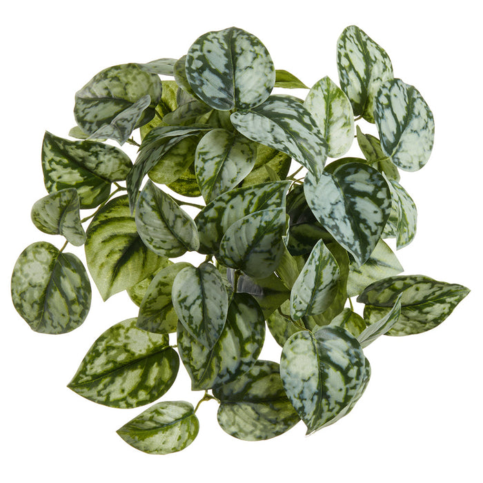 10" Pothos Exotica Leaf Silk Hanging Plant -Green/Gray (Pack of 12) - PBP128-GR/GY