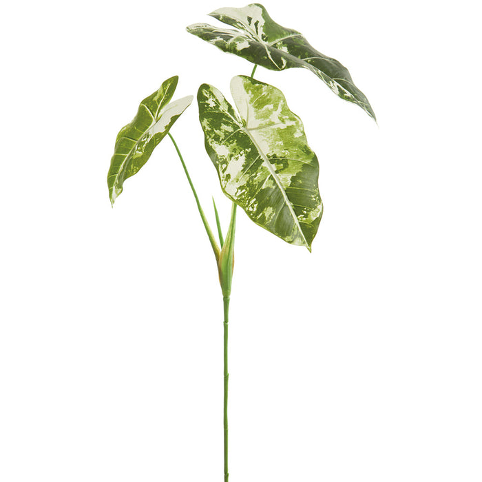 32" Silk Elephant Philodendron Leaf Plant -Green/White (Pack of 12) - PBP129-GR/WH