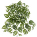 16" Outdoor UV-Resistant Artificial Hanging Philodendron Leaf Plant -Green/Variegated (Pack of 6) - PBP131-GR/VG