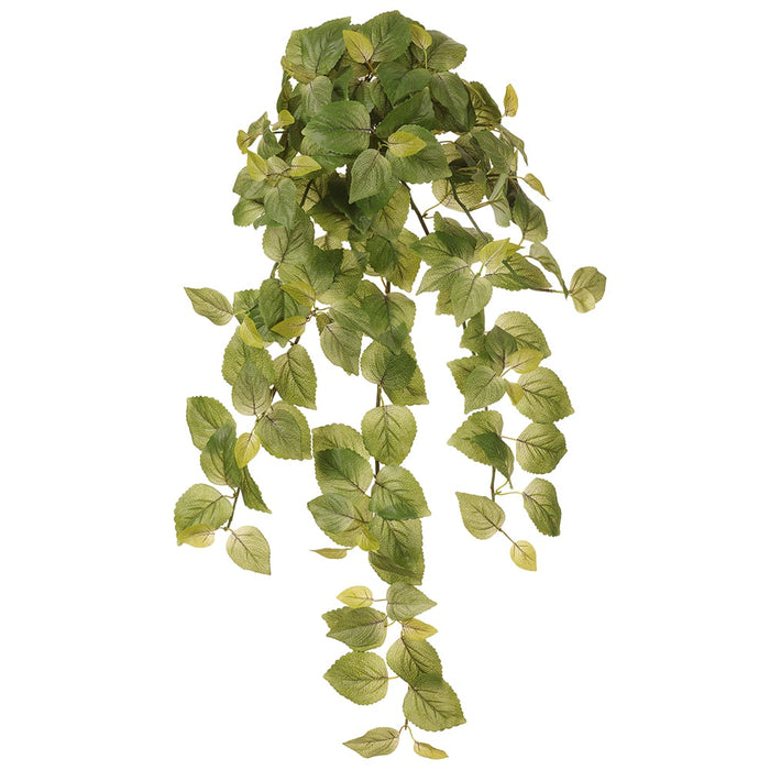 38" Hanging Perilla Leaf Silk Plant -Green (Pack of 6) - PBP142-GR