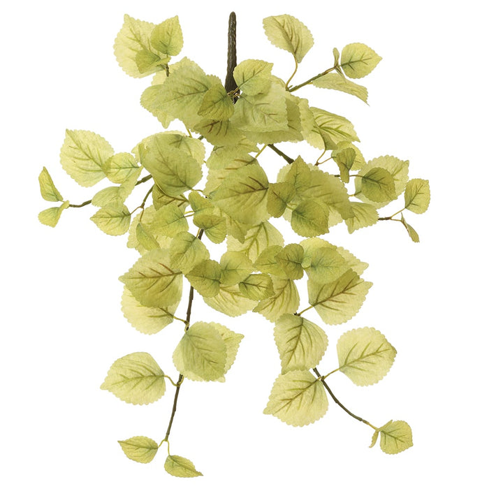 20" Hanging Perilla Leaf Silk Plant -Lime (Pack of 12) - PBP147-LM