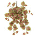 20" Hanging Perilla Leaf Silk Plant -Purple/Green (pack of 12) - PBP148-PU/GR