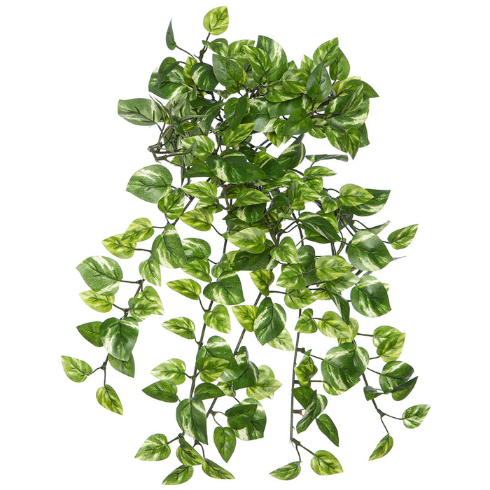 mini pothos plant 15" Mini Pothos Leaf Silk Hanging Plant -Variegated Green — Silks Are Forever