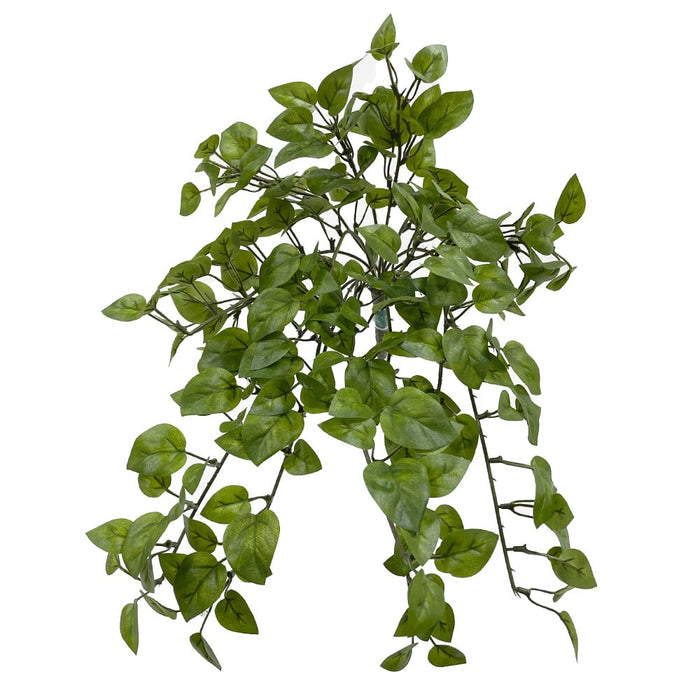 mini pothos Allstate Floral Mini Green Philodendron Leaf Hanging Bush, 15 in