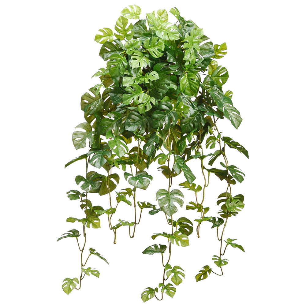 medium silk philodendron bush 36