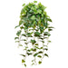 36" Real Touch Silk Philodendron Leaf Plant -Green (pack of 4) - PBP194-GR
