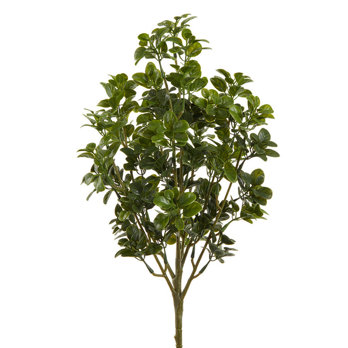 19" Privet Leaf Artificial Plant -Green (Pack of 12) - PBP197-GR