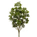 19" Privet Leaf Artificial Plant -Green (Pack of 12) - PBP197-GR