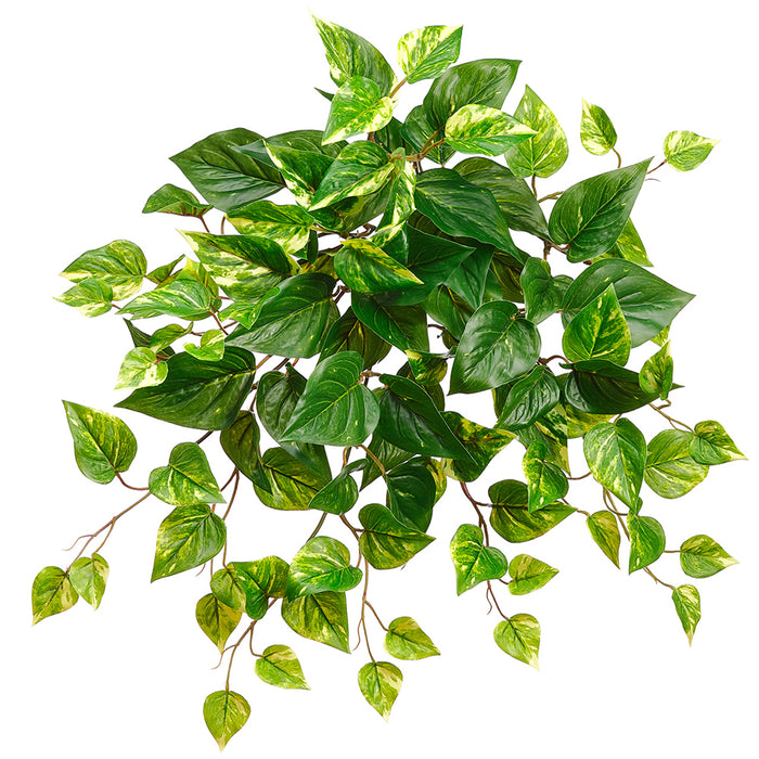 20" UV-Resistant Outdoor Artificial Hanging Pothos Plant -Green/White (pack of 12) - PBP202-GR/WH