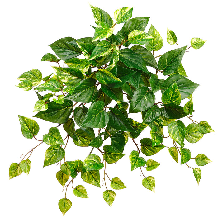 pothos ivy outdoors 20" Outdoor UV-Resistant Artificial Hanging Pothos Plant -Green/White (Pack of 12)