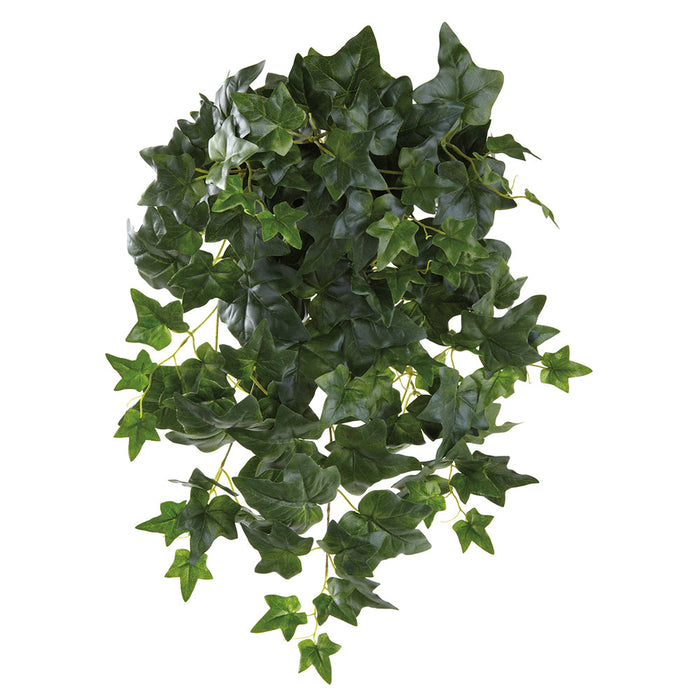 24" Ivy Leaf Silk Hanging Plant -Green (Pack of 6) - PBP245-GR