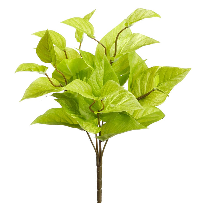 18" Silk Pothos Leaf Plant -Light Green (pack of 12) - PBP501-GR/LT