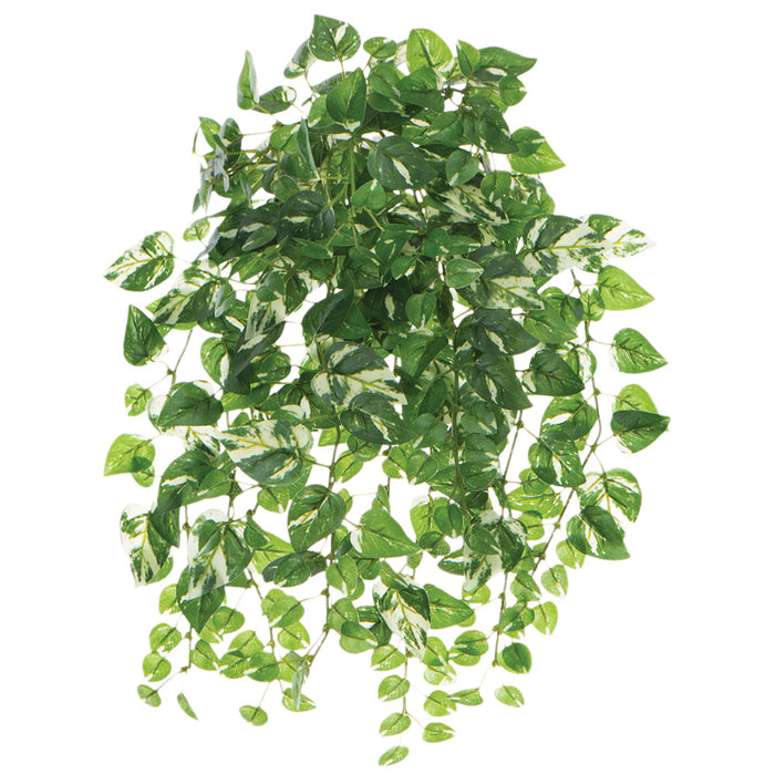 19" Real Touch Hanging Pothos Leaf Silk Plant -Green/Variegated (pack of 6) - PBP518-GR/VG