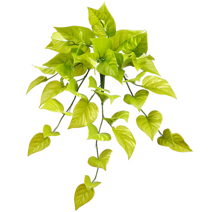 25" Hanging Silk Pothos Leaf Plant -Light Green (pack of 6) - PBP525-GR/LT