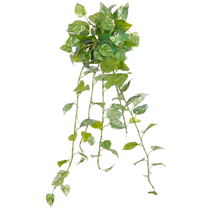 marble hanging plant 42" Silk Marble Pothos Leaf Hanging Plant -Green/White — Silks Are Forever