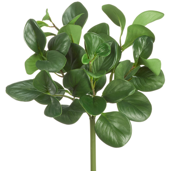 16" Silk Pepperomia Leaf Plant -Green (Pack of 12) - PBP634-GR