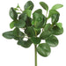16" Silk Pepperomia Leaf Plant -Green (Pack of 12) - PBP634-GR