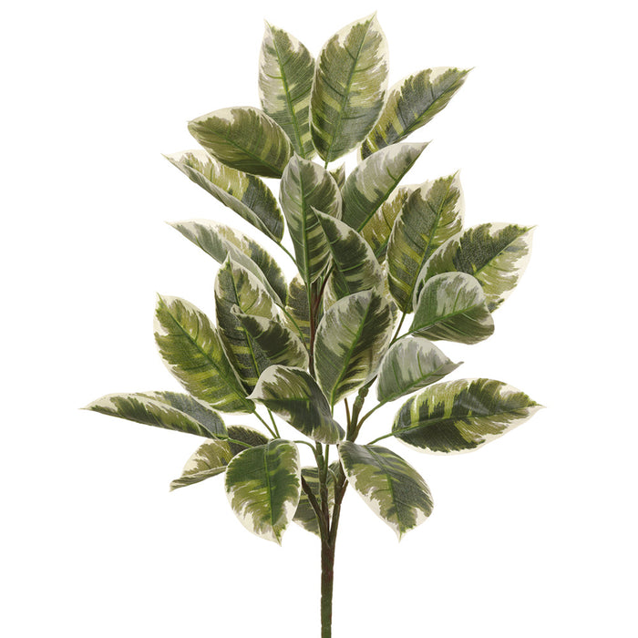 27" Rubber Leaf Artificial Plant -Green/Cream (Pack of 12) - PBR005-GR/CR