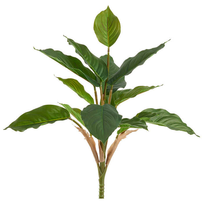 16" Rohdea Japonica Sacred Lily Leaf Silk Plant -Green (pack of 6) - PBR213-GR