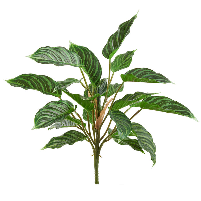 19" Rohdea Japonica Sacred Lily Leaf Silk Plant -2 Tone Green (Pack of 6) - PBR214-GR/TT