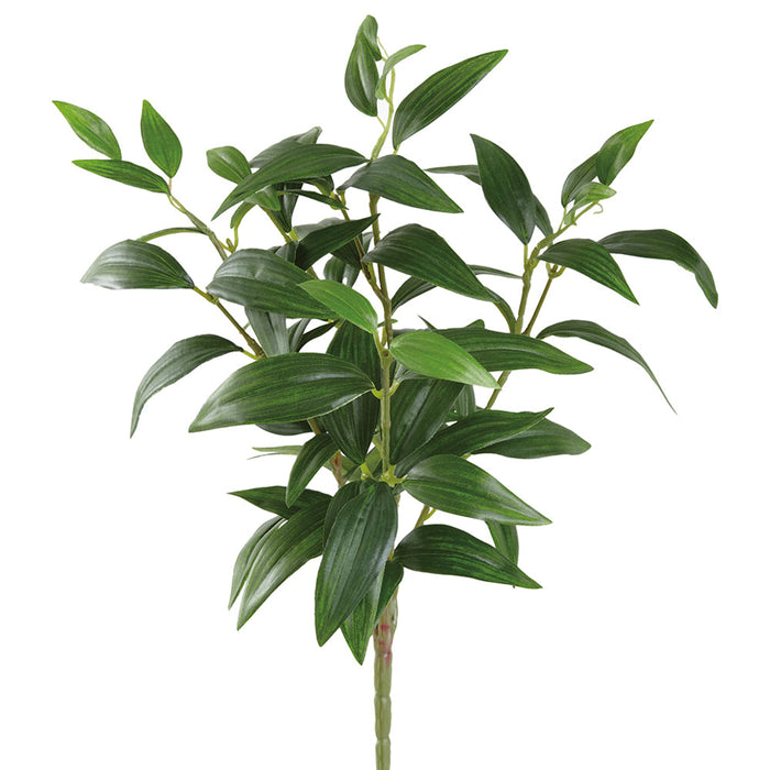 15" Silk Ruscus Leaf Plant -Green (Pack of 12) - PBR246-GR