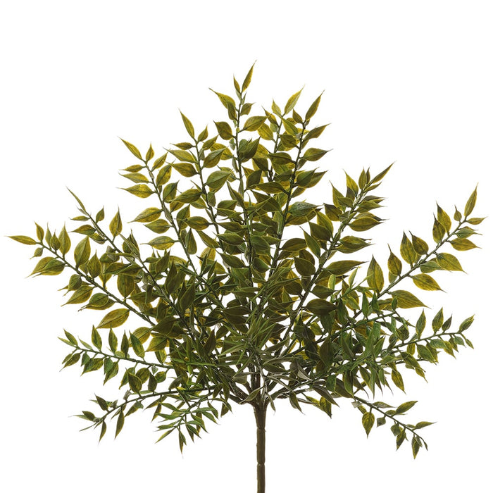 13" Artificial Ruscus Leaf Plant -Green (Pack of 12) - PBR560-GR