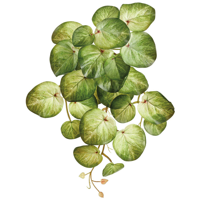 19" Silk Stephania Erecta Leaf Hanging Plant -2 Tone Green (Pack of 12) - PBS080-GR/TT