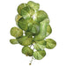 11" Silk Stephania Erecta Leaf Plant -2 Tone Green (Pack of 12) - PBS081-GR/TT