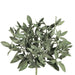 10" Sage Herb Silk Plant -Green/Gray (pack of 24) - PBS400-GR/GY