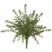 15.5" PE Soft-Touch Sedum Artificial Plant -Green (Pack of 6) - PBS608-GR
