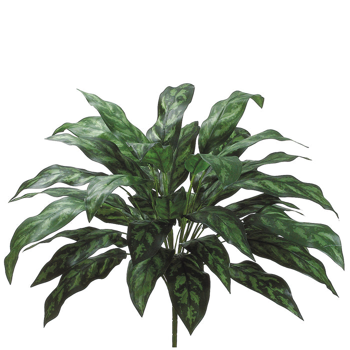 28" Aglaonema Silver Queen Silk Plant -Dark Green (pack of 6) - PBS702-GR/DK
