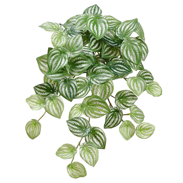 hanging plant with silver leaves 16" Hanging Silk Watermelon Leaf Plant -Green/Silver — Silks Are Forever