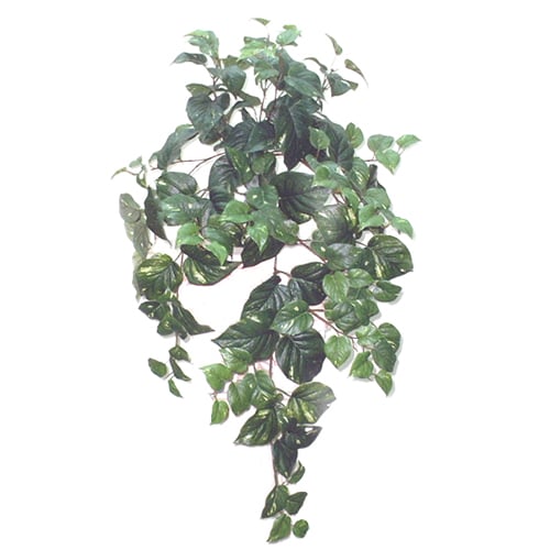 silk pothos 31" Hanging Silk Puff Pothos Leaf Plant -Green (Pack of 12)