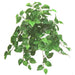 21" Hanging Silk Pothos Leaf Plant -Green (Pack of 12) - PBW230-GR