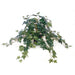 21" Hanging Silk Ivy Leaf Plant -Green (Pack of 12) - PBW231-GR