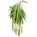 20" Hanging Artificial Willow Leaf Plant -Green (pack of 12) - PBW263-GR