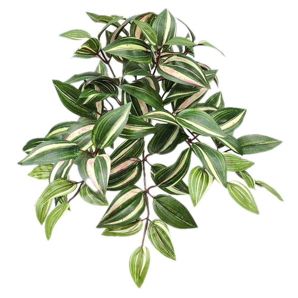 wandering jew hanging plant 12" Hanging Silk Wandering Jew Plant -Green/Cream — Silks Are Forever