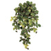 28" Raspberry w/Berries Silk Hanging Plant -Fall (pack of 12) - PBW854-FA