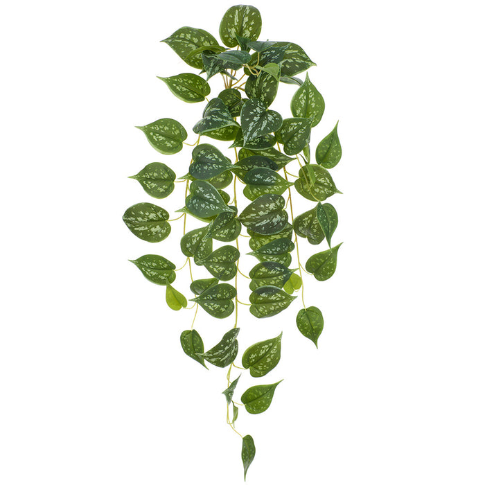34" Hanging Silk Pothos Plant -Green (Pack of 2) - PBX003-GR