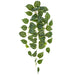 34" Hanging Silk Pothos Plant -Green (Pack of 2) - PBX003-GR
